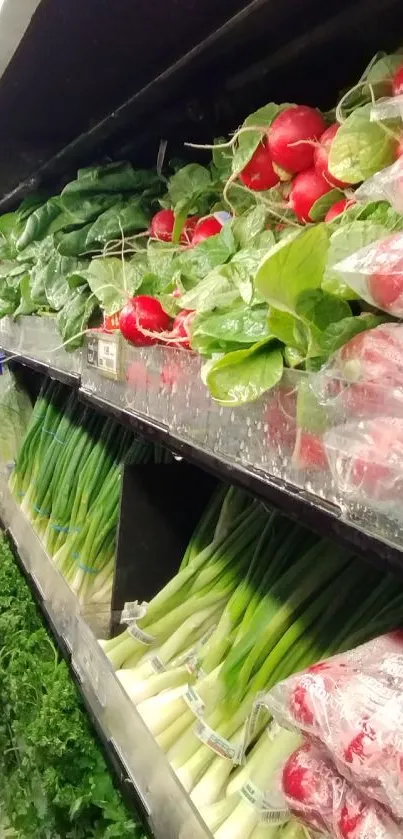 Colorful vegetable aisle with fresh produce at a grocery store.