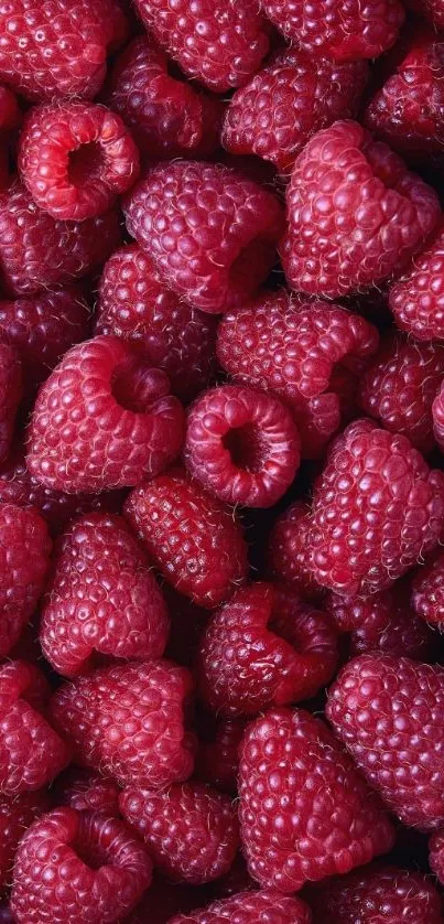 Vibrant red raspberry texture wallpaper for mobile devices.