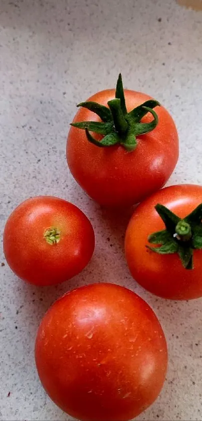 Vibrant red tomatoes on a light surface.