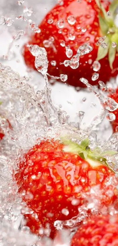 Splashing strawberries with water droplets on mobile wallpaper.