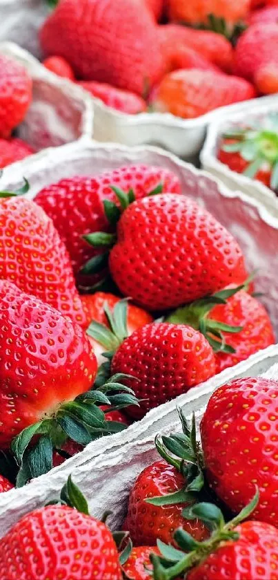 Fresh strawberries in crates, vibrant wallpaper.