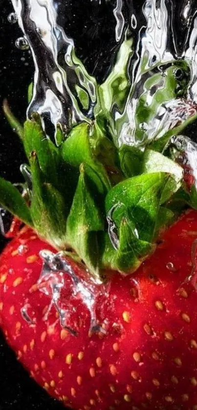 Vibrant strawberry with water splash on black background.