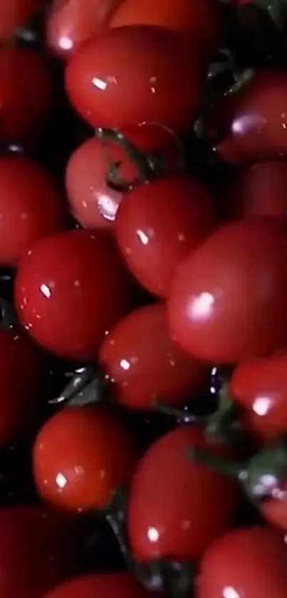 Vibrant red tomatoes with green stems on a dark background.