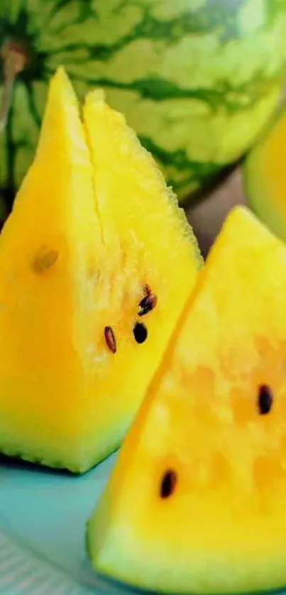 Yellow watermelon slices on a blue plate close-up.