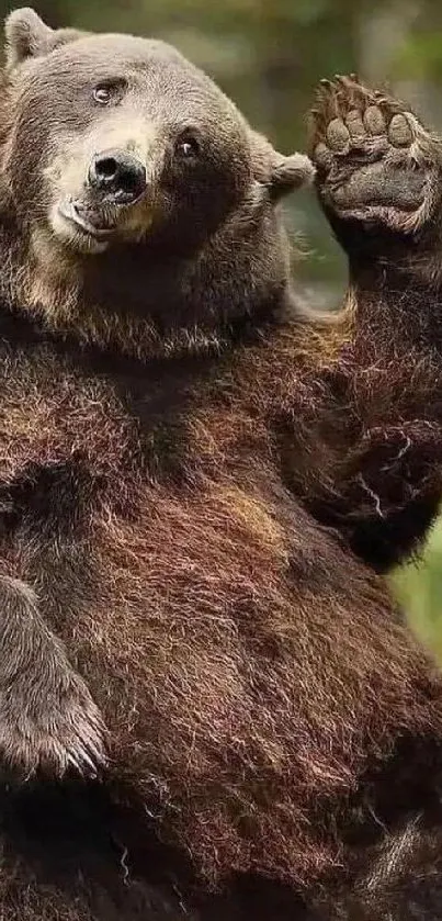 Mobile wallpaper of a waving bear in a natural forest setting.