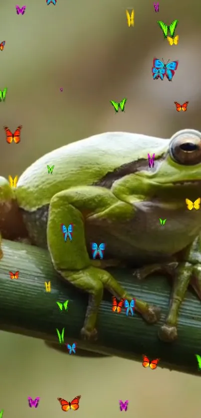 A green frog on a branch with colorful butterflies floating around.