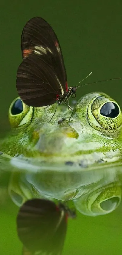 Frog and butterfly on water with reflection in lush greenery.