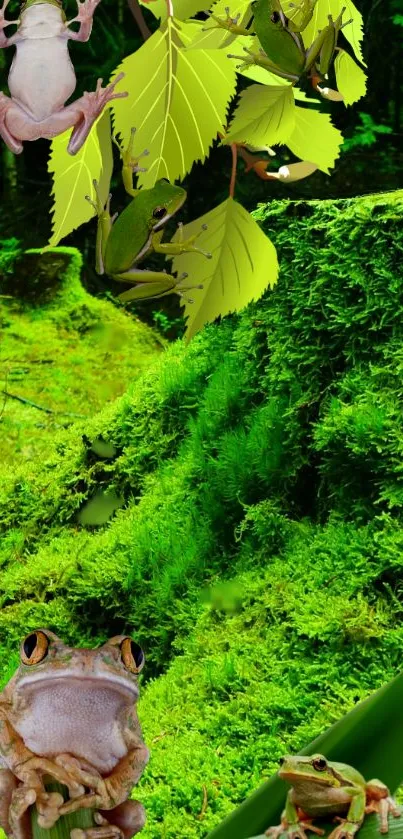 Green forest wallpaper with frogs and leaves.