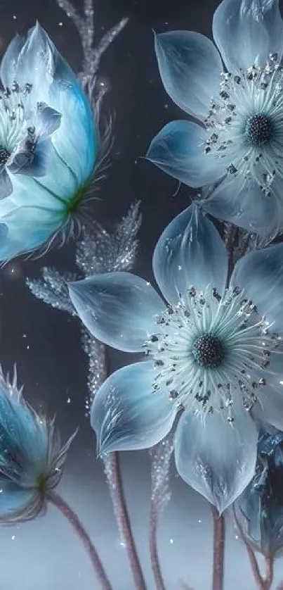 Frosted blue flowers with icy petals creating an elegant wallpaper design.