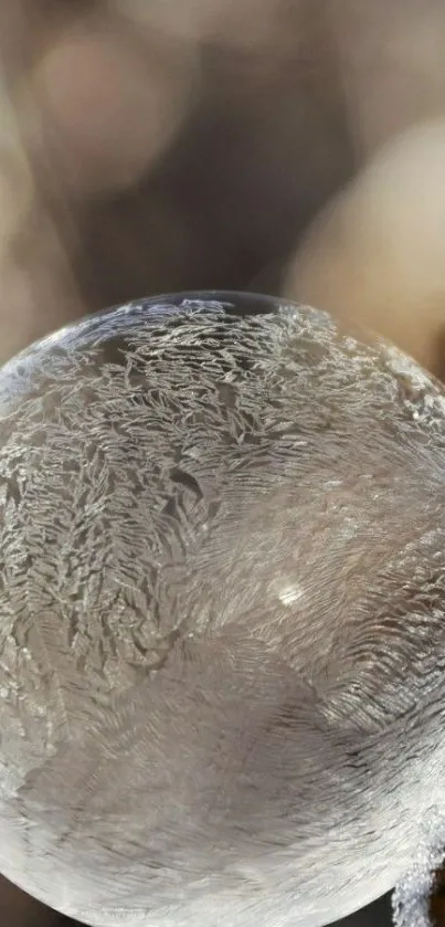 Frosted bubble with intricate ice patterns on a blurred background wallpaper.