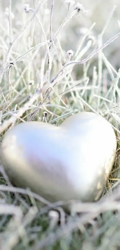 Frosted heart on winter grass background.