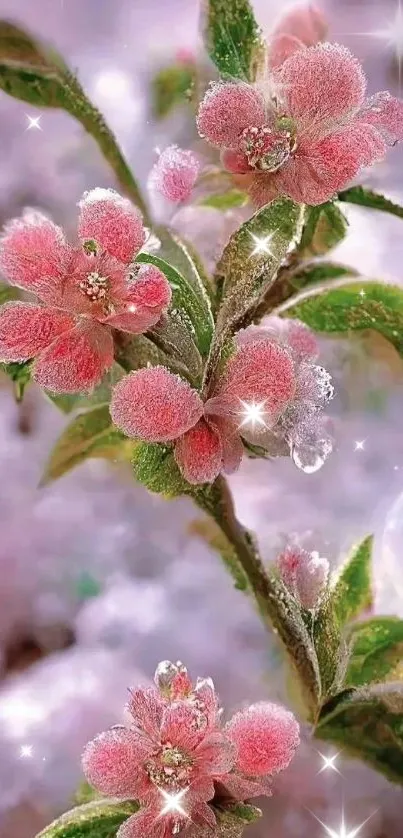 Frosted pink blossoms with delicate icy details on a vibrant background.