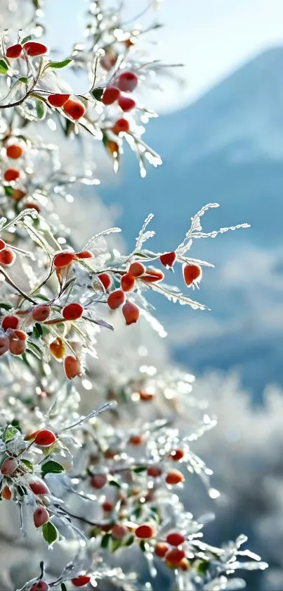 Frost-covered berries with mountain scenery.