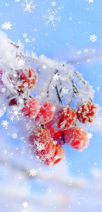 Frost-covered red berries on snowy branches