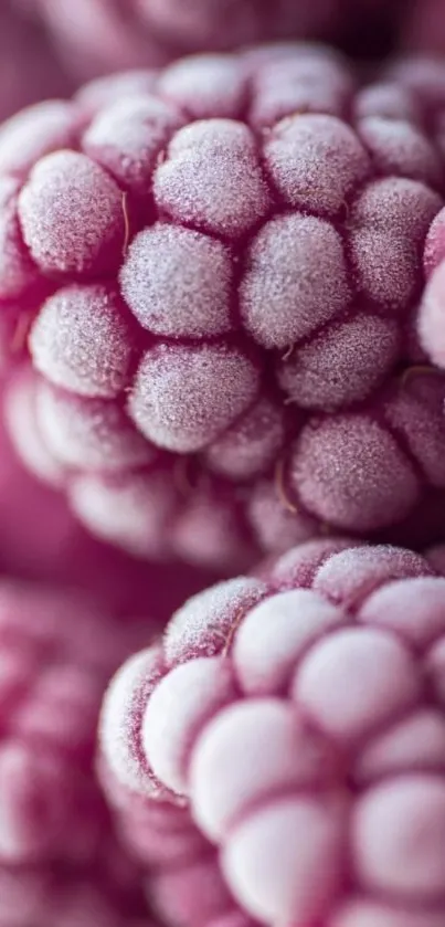 Close-up of frozen berries with frosty textures on a purple background.