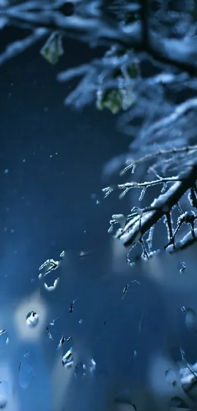 Close-up of frosty branches with a deep blue and icy theme, perfect for mobile wallpaper.