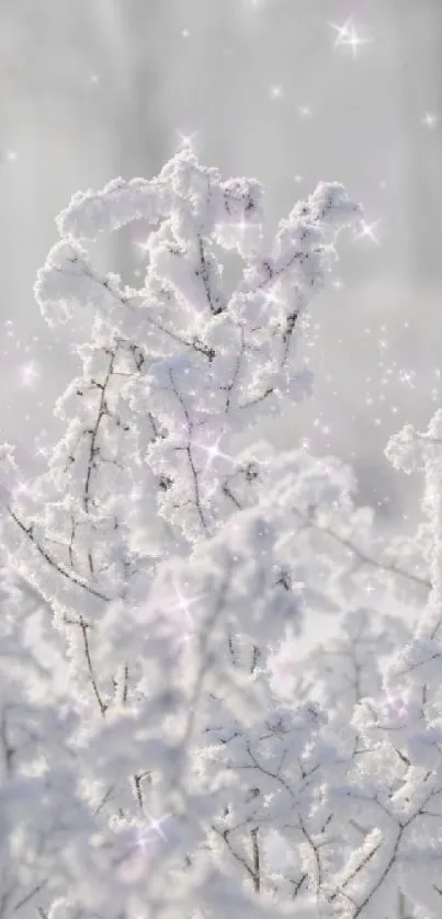 Frosty branches with sparkles in a winter scene, showcasing nature's beauty.