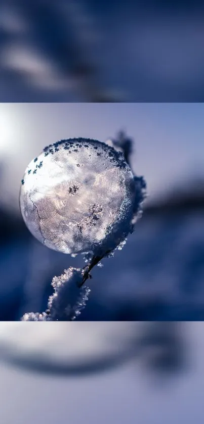 Frosty bubble resting on an icy branch with blurred blue background.