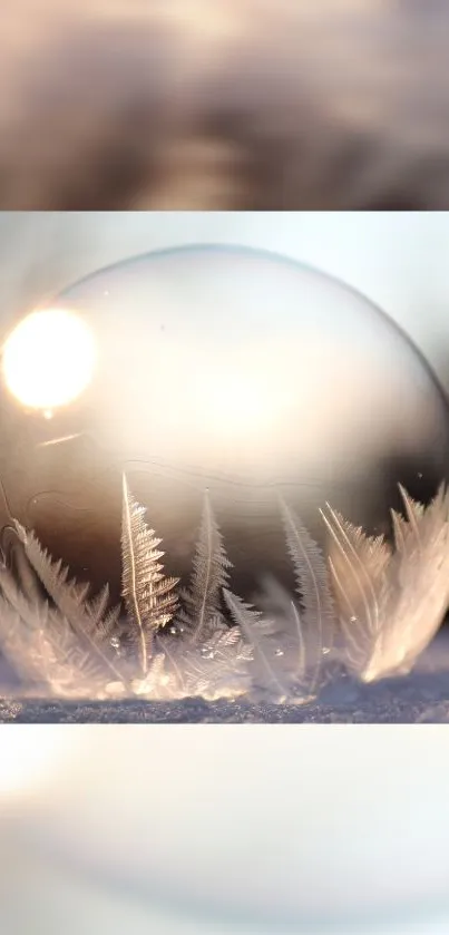 Frosty bubble reflecting sunlight in a serene winter setting.