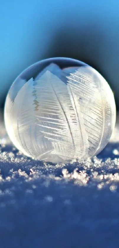 Frozen bubble on snowy surface with wintery backdrop.