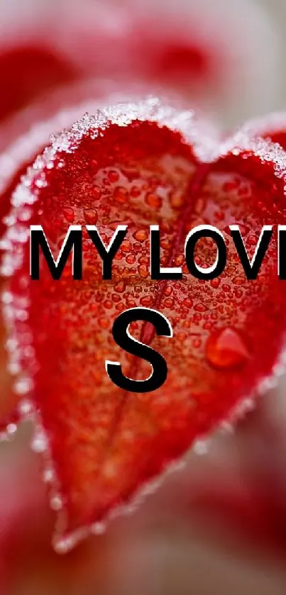 Close-up of a frosty red heart-shaped leaf with 'MY LOVE' text.