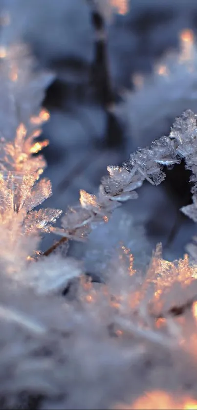 Close-up of frosty ice crystals in blue hues with a warm glow.