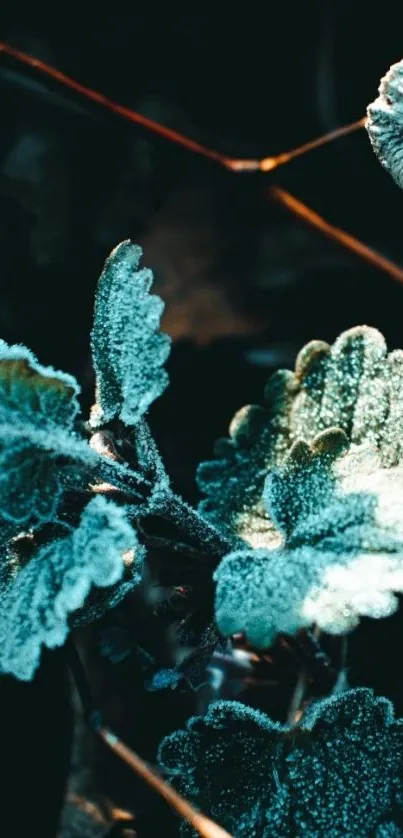 Frost covered leaves with cyan highlights in a natural setting.