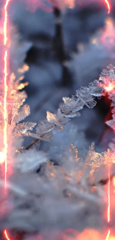 Close-up of frosty ice crystals with warm sunlight.