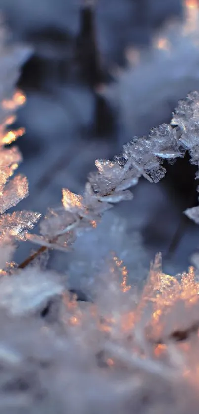 Close-up of frosty, icy details with warm light for a mobile wallpaper.