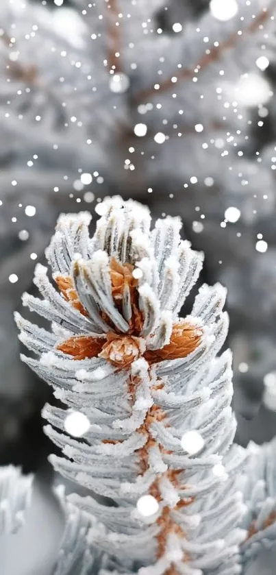 Frost-covered pine cone with snowflakes falling, set against a wintery background.