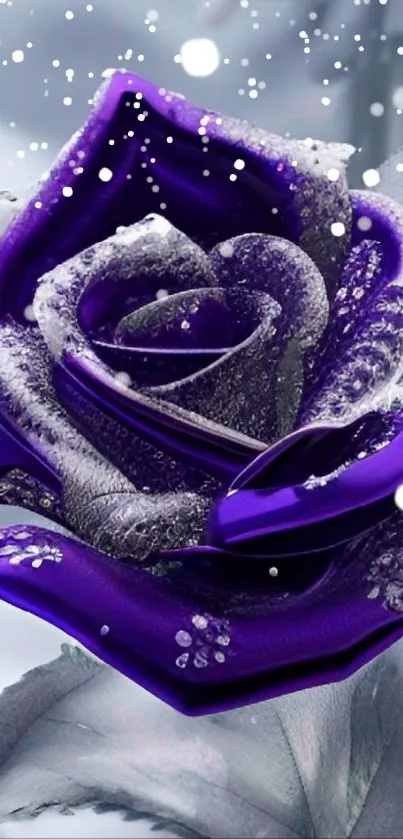 Purple frosty rose with icy details and gray background.