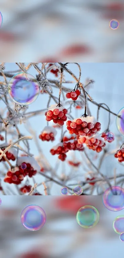 Frosty branches with red berries and colorful bubbles in a winter scene.