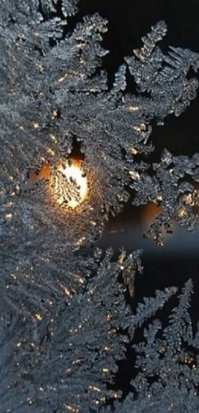 Mobile wallpaper of frosty sunrise with sunlit ice patterns.
