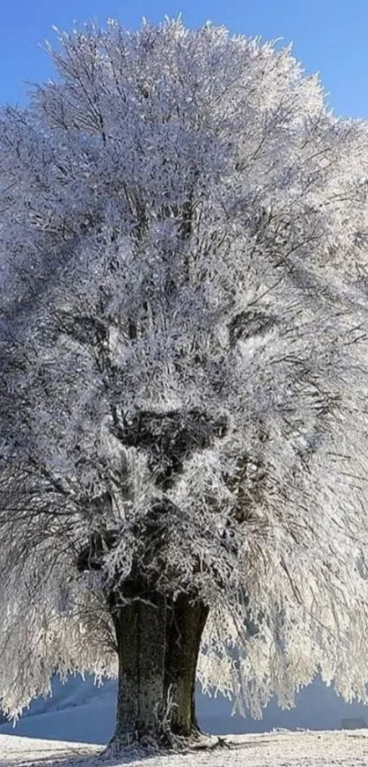 Wintery tree resembling a lion's face against a clear blue sky.