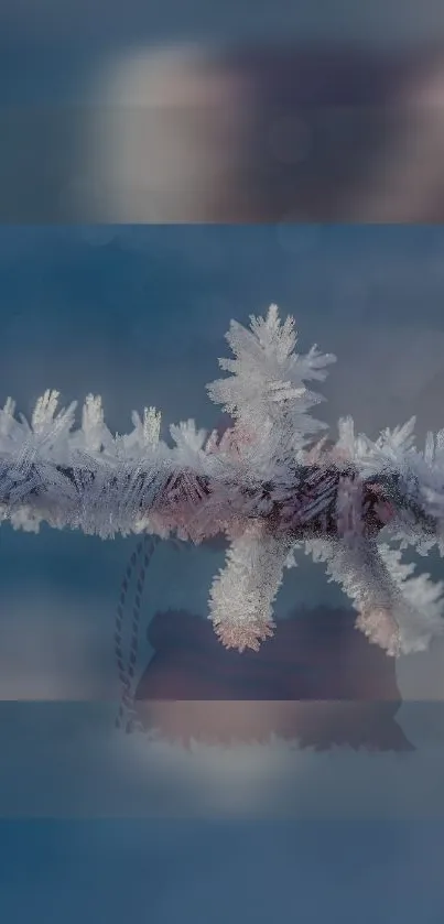 Frost-covered branch on a cool blue background, ideal winter wallpaper.