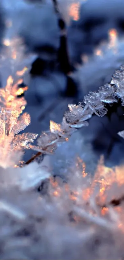 Frosty ice formations with a soft glow on a winter-themed wallpaper.