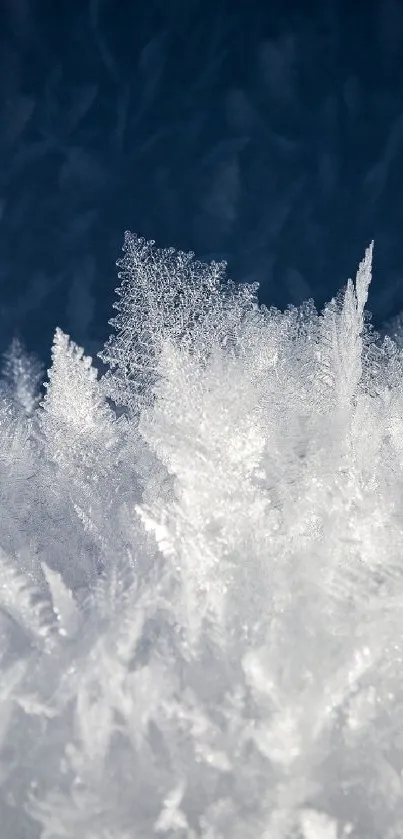 Close-up of white ice crystals in a cold winter scene.