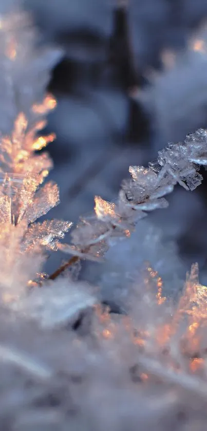 Close-up of ice crystals in a frosty, serene winter scene with blue tones.