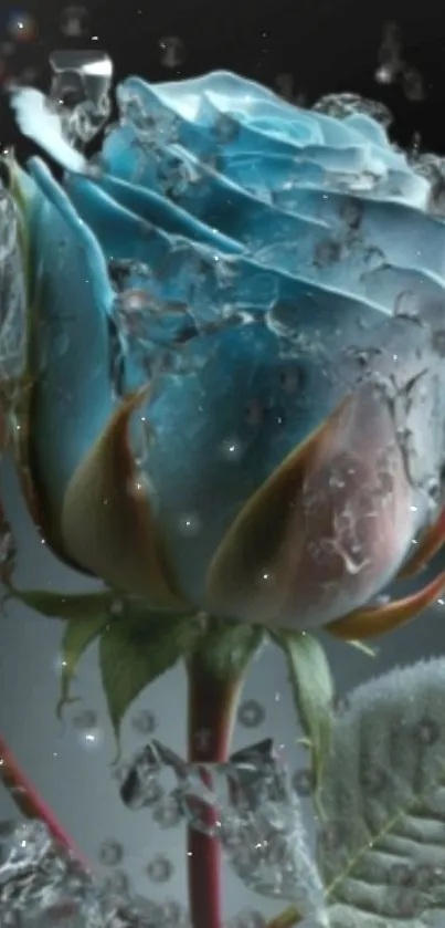 Blue rose with icy texture and droplets, perfect phone wallpaper.