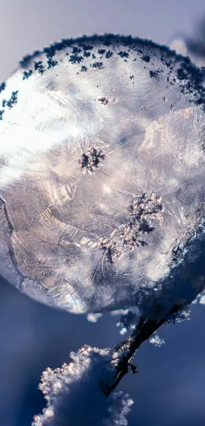 Frozen bubble with intricate ice patterns on a branch in a winter scene.