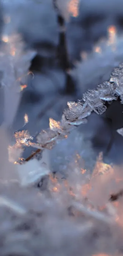 Close-up of ice crystals with a soft, blue-gray backdrop and warm highlights.