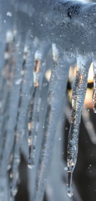 Close-up of shimmering icicles creating a winter wonderland effect.