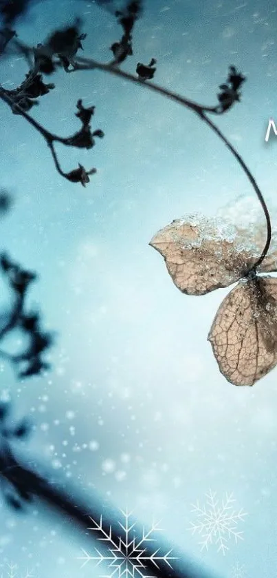 Frosty leaf with snowflakes on blue winter background.