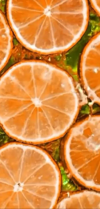 Fruit Orange Citrus Live Wallpaper