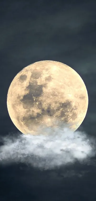 Full moon rising above soft clouds in a dark night sky.