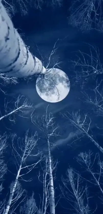 Moonlit forest under night sky wallpaper with full moon view.