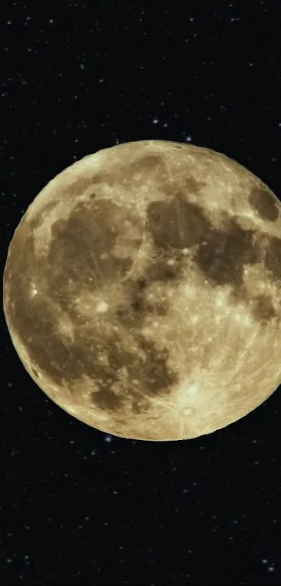 Full moon against a starry night sky background.