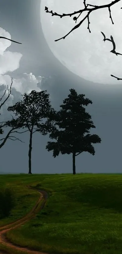 Serene night landscape with full moon and silhouetted trees in a grassy field.