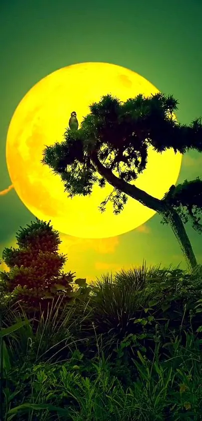 A tranquil night landscape with full moon and lush green foliage.