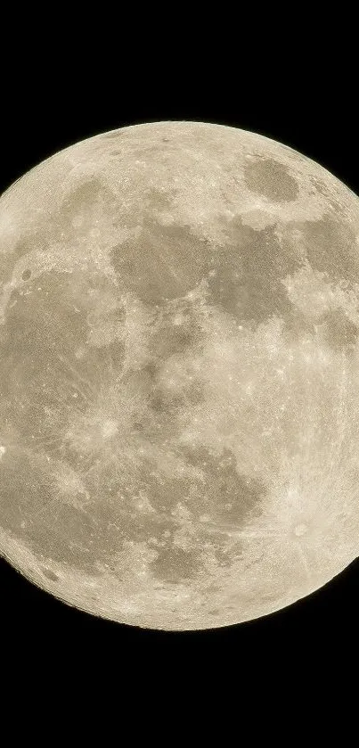 Full moon with detailed surface against dark night sky.